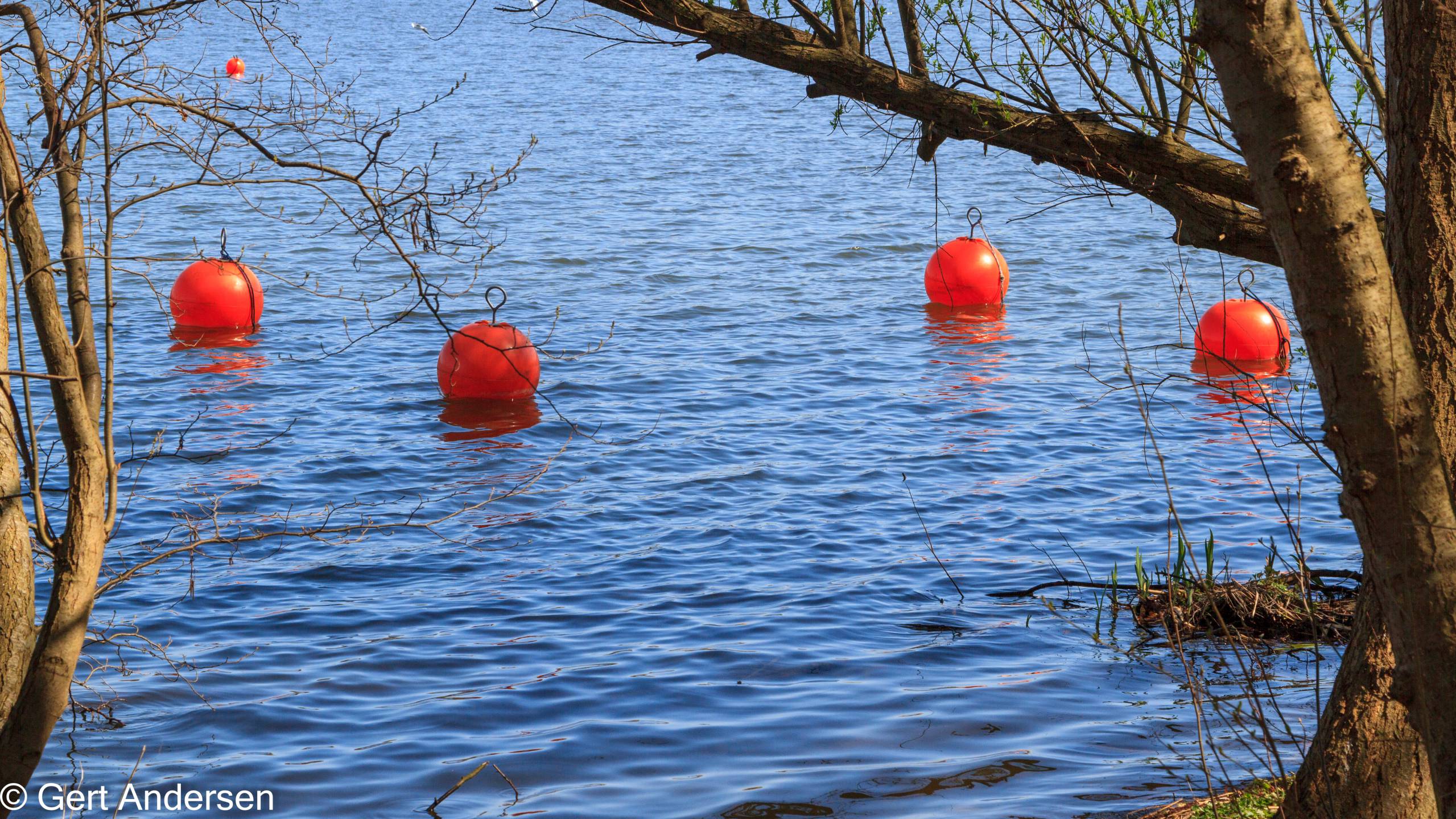 Lyngby Sø (36 of 37) compressed